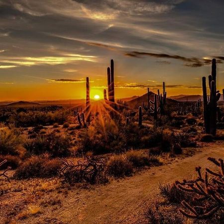 Western Tinyhouse, Ready For Summer Fun! Villa Apache Junction Exterior foto