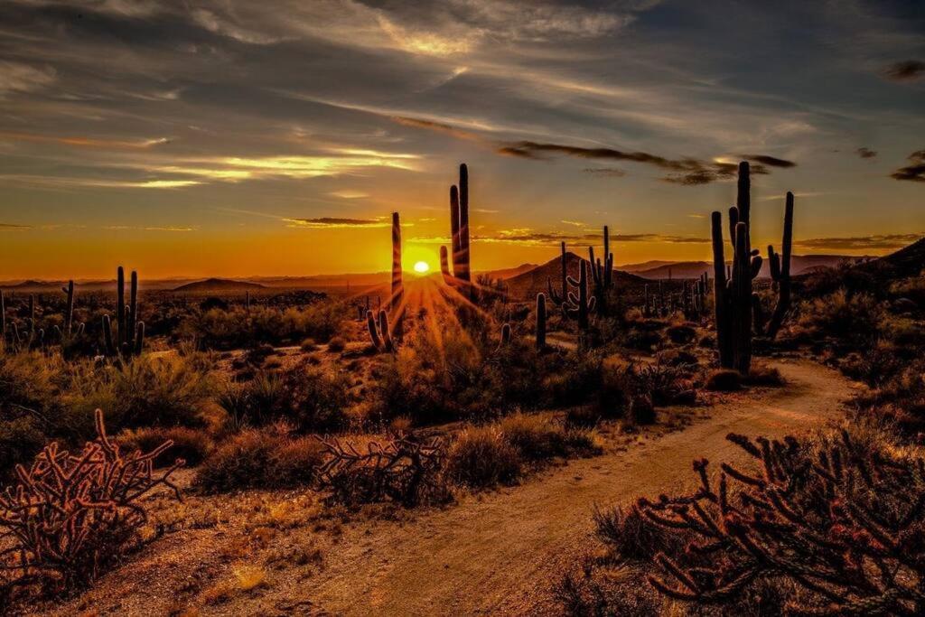 Western Tinyhouse, Ready For Summer Fun! Villa Apache Junction Exterior foto