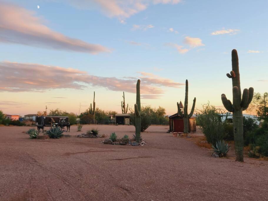 Western Tinyhouse, Ready For Summer Fun! Villa Apache Junction Exterior foto